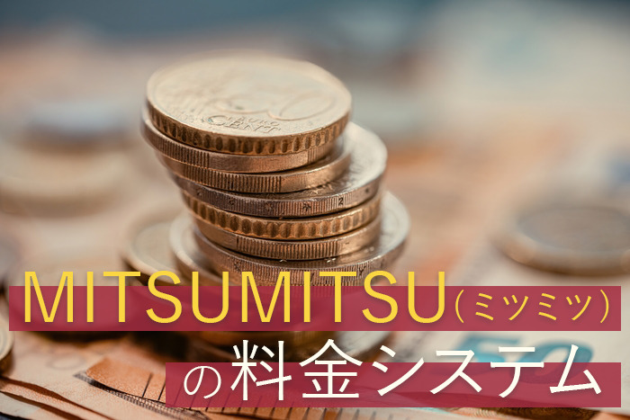 MITSUMITSUの料金システム